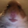 Profilbild von qck