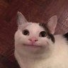 Profilbild von Anl