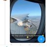 Mesh's profile picture
