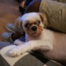 Profilbild von Nelson
