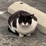 Profilbild von 一生平安