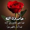 ام عبد العزيز profil fotoğrafı