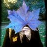 Profilbild von CW