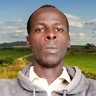 Joseph Kamotho's profile picture