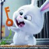 Snowballg99 profil fotoğrafı