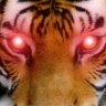 CryptoTyga 的头像