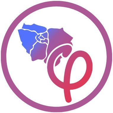 lfi_region_idf's profile picture