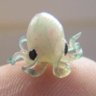 Yo What's Kraken's profile picture
