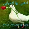 Фото профиля ظافر سعد القريشي