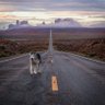 Middle of the Road Extremist 的头像