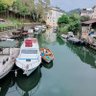 Bilgi Güçtür 的头像