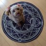 敗壊のebaan's profile picture