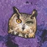 Фото профиля Dr. Thoughtcrime 🦉