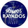Soy Rayado 🌟 的头像