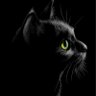 Фото профиля 黒猫さん。名はまだない。