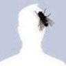 eduardojisa696's profile picture