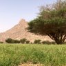 Фото профиля بدر الحميداني