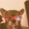 Profilbild von nour