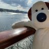 cindy🛶(fo) profil fotoğrafı