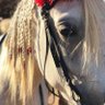 Фото профиля بنت الهيلا