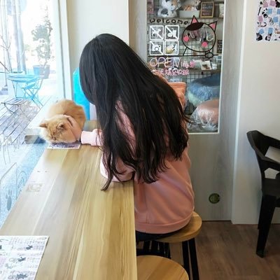 Yan Yan's profile picture