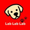 Lab Lab Lab🐾's profile picture