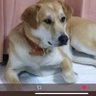 0875 的头像