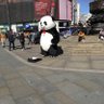 IRON 的头像