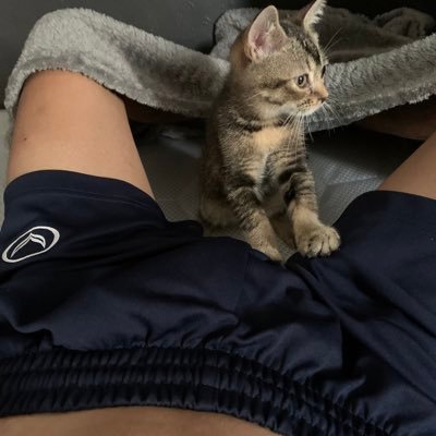 Jame43086195's profile picture