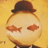 tubesockan's profile picture