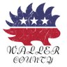 Libertarian Party Waller County profil fotoğrafı