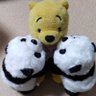 🐻🐼🍎いくみん🐶🧡 profil fotoğrafı