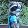 Kiyote profil fotoğrafı