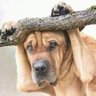 Tshikonaz's profile picture