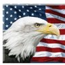 Profilbild von Gina C.🇺🇸
