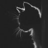 marina. gk's profile picture