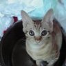 may's profile picture