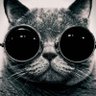 midou goodmidou's profile picture