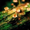 Фото профиля 罗布泊女儿