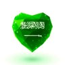 أبو فارس🇸🇦 MBS 的头像
