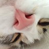murat sade's profile picture