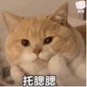 李麟 的头像