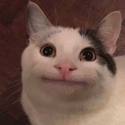 ocho's profile picture