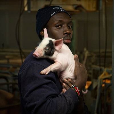 kenyanpigfarmer's profile picture