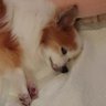 ããã's profile picture