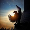 Bukan Negara Kesatuan Republik Investor's profile picture