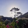 sébastion 的头像