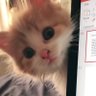 blue's profile picture