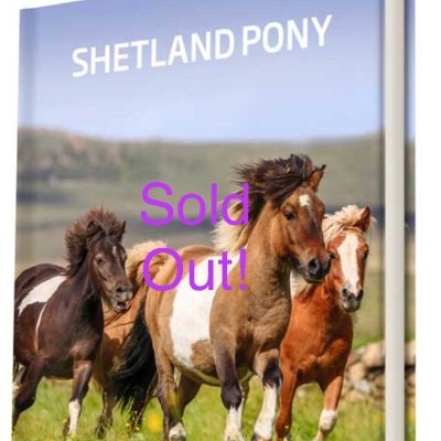 SHETLAND PONY BOOK's profile picture