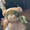 Profilbild von たぬたぬ